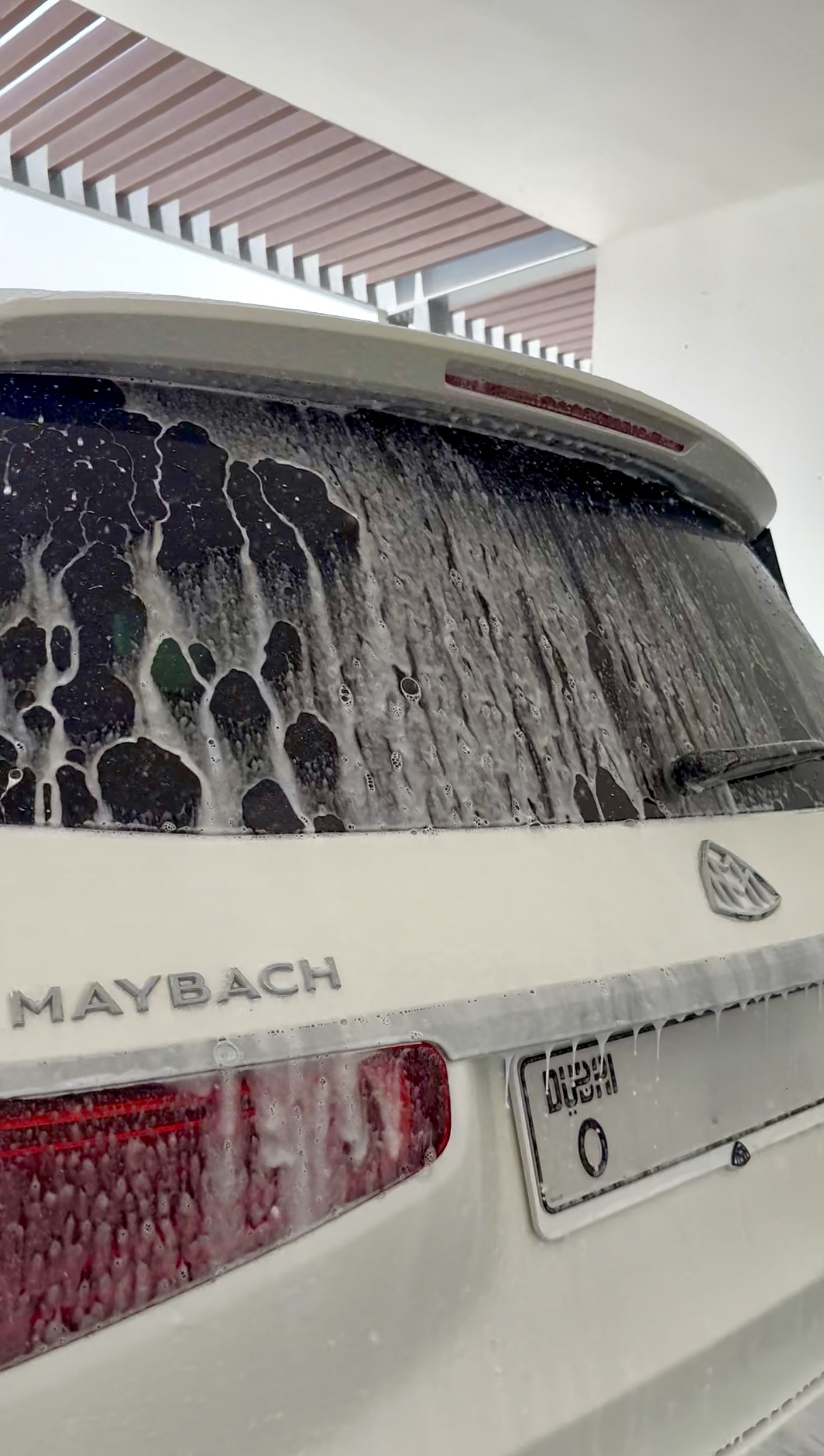 High-end car wash technician cleaning a vehicle in Arabian Ranches 3